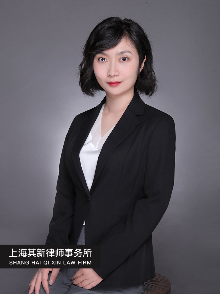 上海其新律师事务所-高燃律师