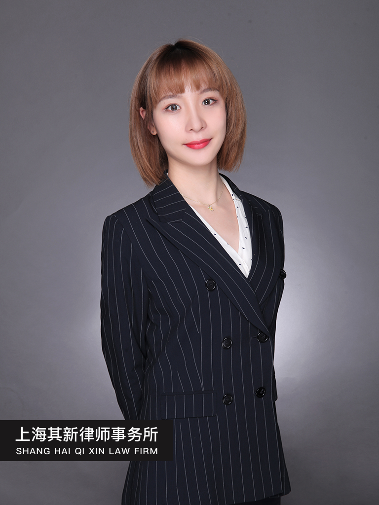 上海其新律师事务所-陈丽丽律师
